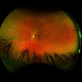 greg_puciato_mirrorcell_cover