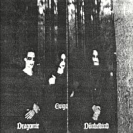 Dornenreich Flügelschlag